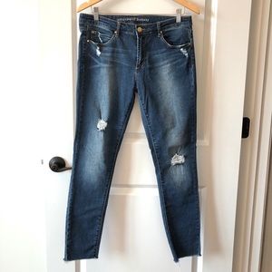 Articles of Society Skinny Raw Hem Jeans